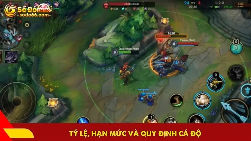 Tỷ lệ, hạn mức và quy định cá độ
